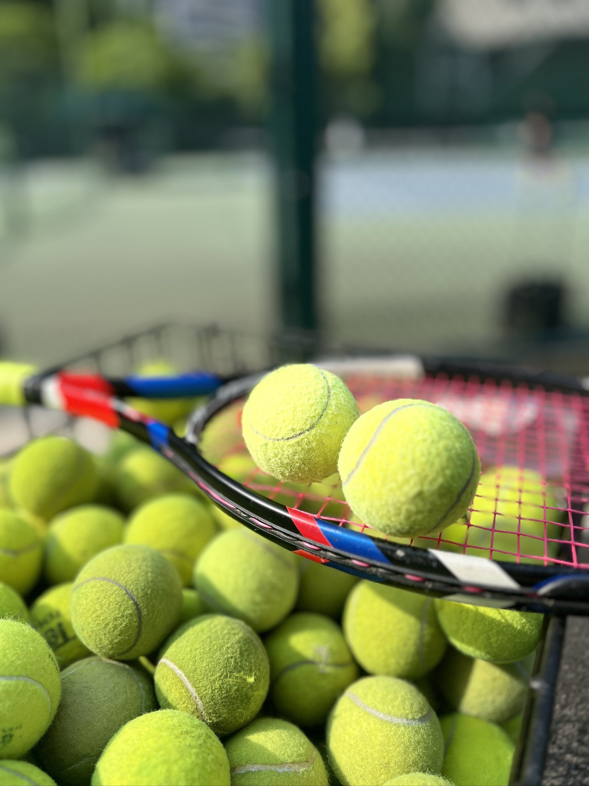 威廉斯作为 威廉斯作为